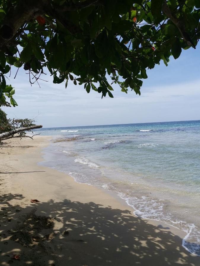 Hostal Cecilia Puerto Viejo de Talamanca Ngoại thất bức ảnh