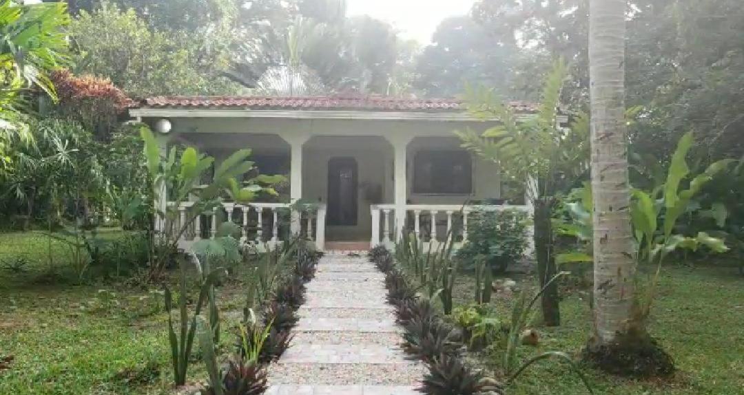 Hostal Cecilia Puerto Viejo de Talamanca Ngoại thất bức ảnh