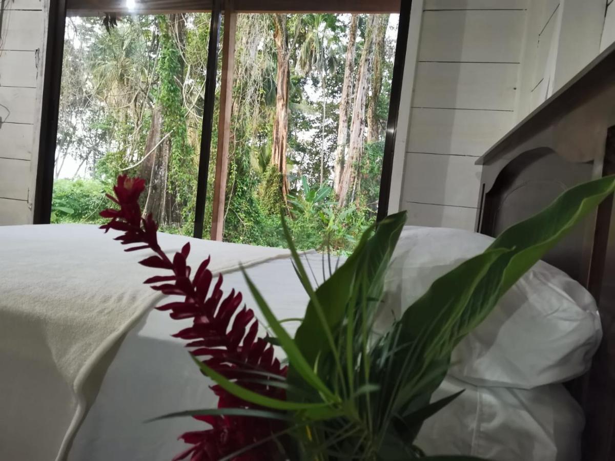 Hostal Cecilia Puerto Viejo de Talamanca Ngoại thất bức ảnh