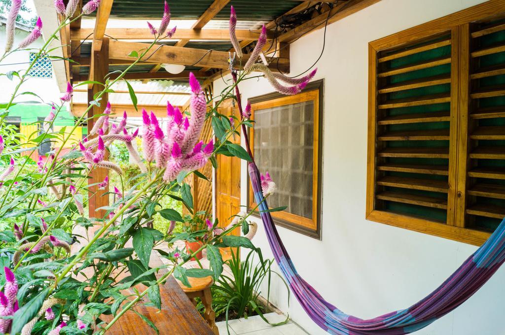 Hostal Cecilia Puerto Viejo de Talamanca Ngoại thất bức ảnh