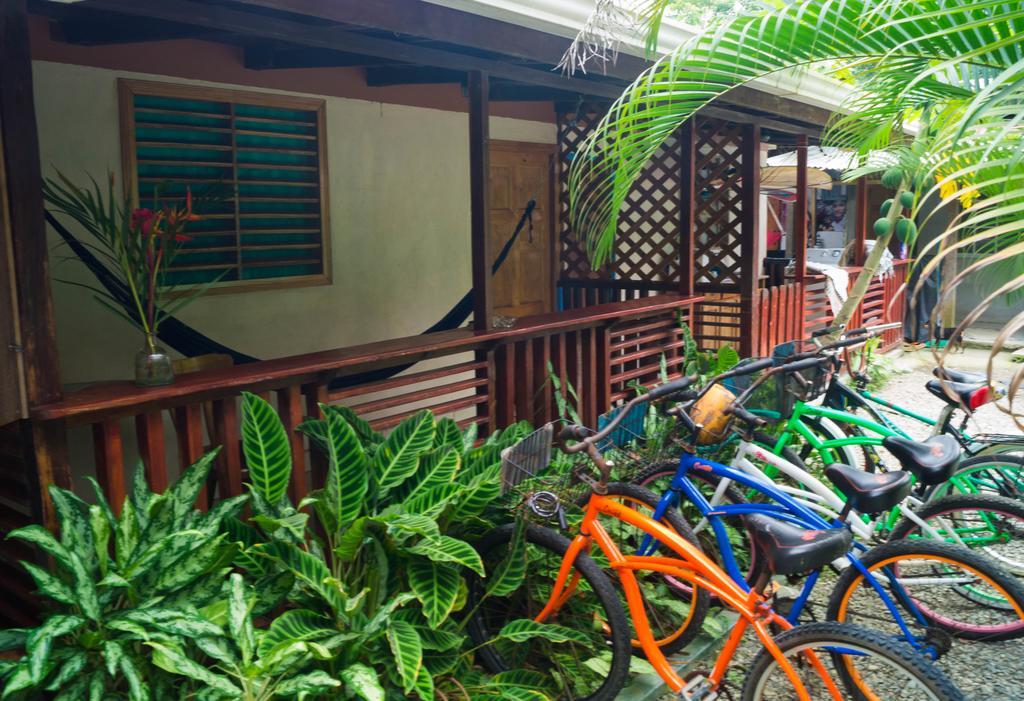 Hostal Cecilia Puerto Viejo de Talamanca Ngoại thất bức ảnh
