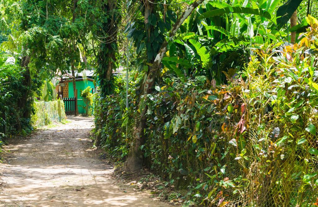 Hostal Cecilia Puerto Viejo de Talamanca Ngoại thất bức ảnh