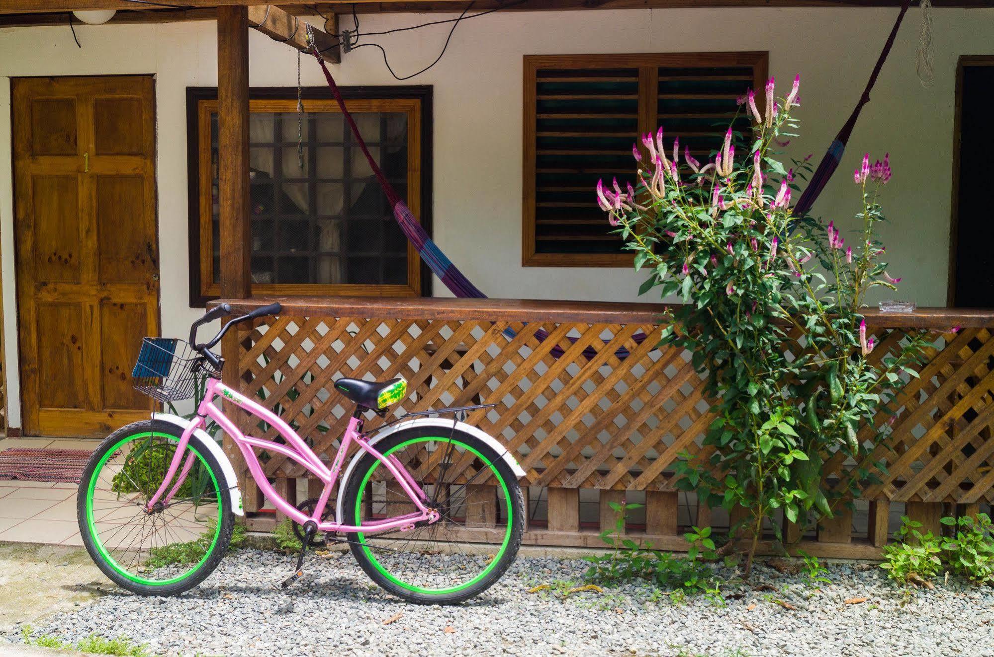 Hostal Cecilia Puerto Viejo de Talamanca Ngoại thất bức ảnh