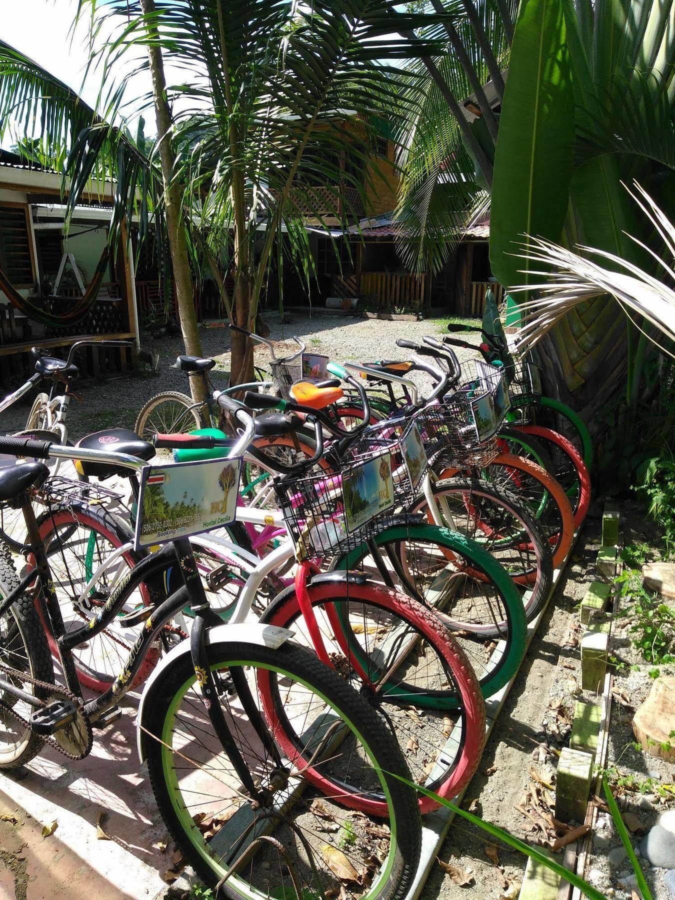 Hostal Cecilia Puerto Viejo de Talamanca Ngoại thất bức ảnh