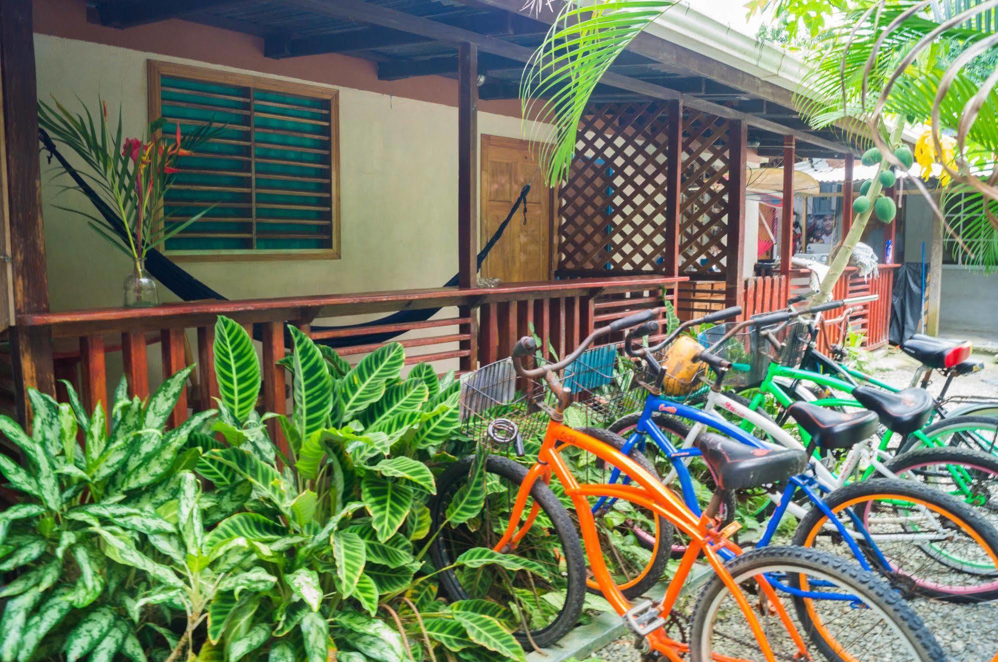Hostal Cecilia Puerto Viejo de Talamanca Ngoại thất bức ảnh