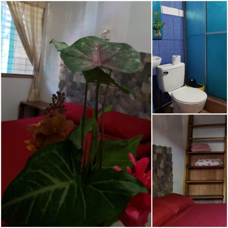 Hostal Cecilia Puerto Viejo de Talamanca Ngoại thất bức ảnh